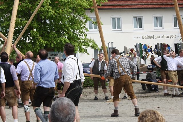 Maibaum 2013